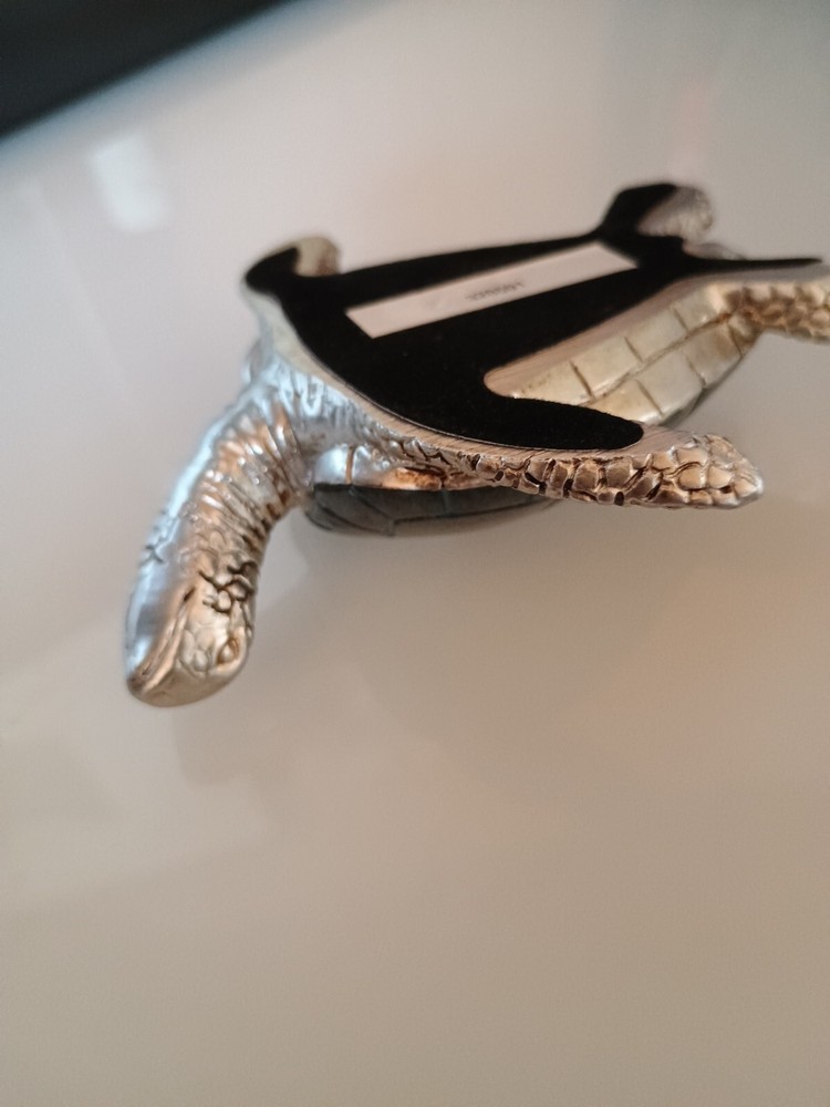 Blue And Silver Sea Turtle