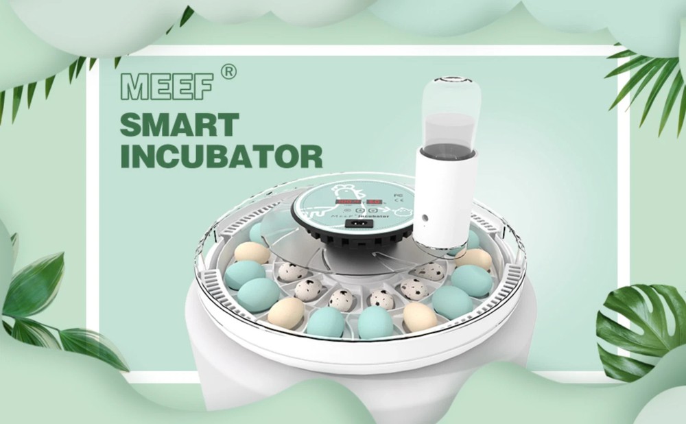 MeeF incubators for Hatching Eggs Automatic 30 Eggs Incubator with Tur