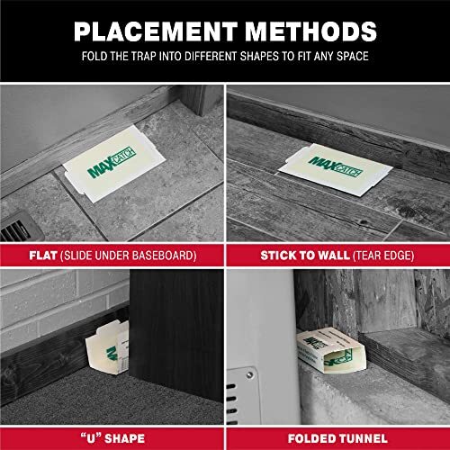 🇱🇷 Catchmaster 36-Count Pre-Baited Pest Glue Traps – Safe & Effective