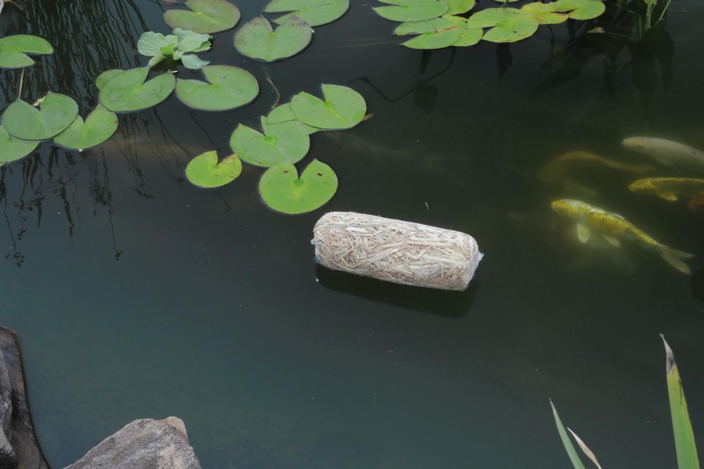 130 2-Pack Barley Straw Bales - Quantity 1