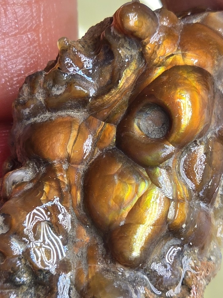 High Grade Natural Aguascalientes Fire Agate Windowed Stone 28.8 Gr 50×28×15 mm