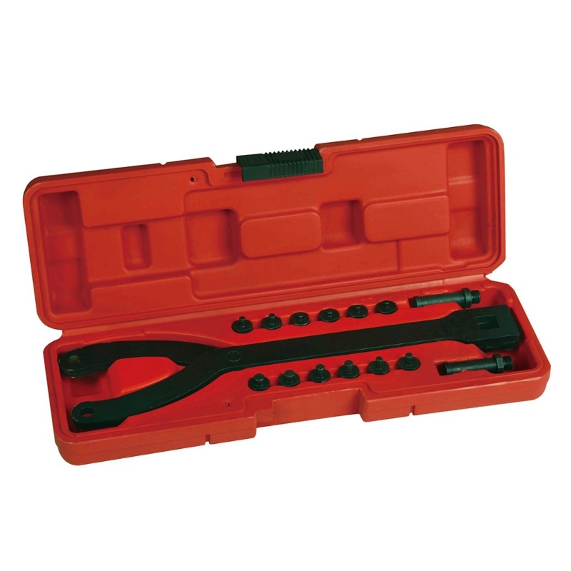 Cylinder Spanner Wrench Set 15Pcs Adjustable Pin Spanner Wrench Pulley Puller