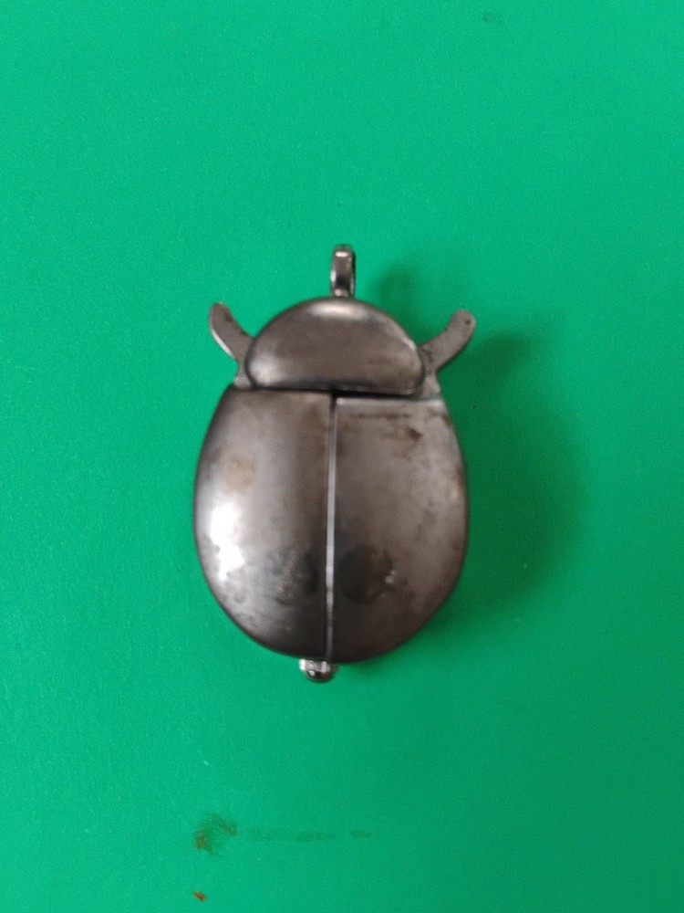Why Me? Cicada Pendant Watch Untested Needs Battery
