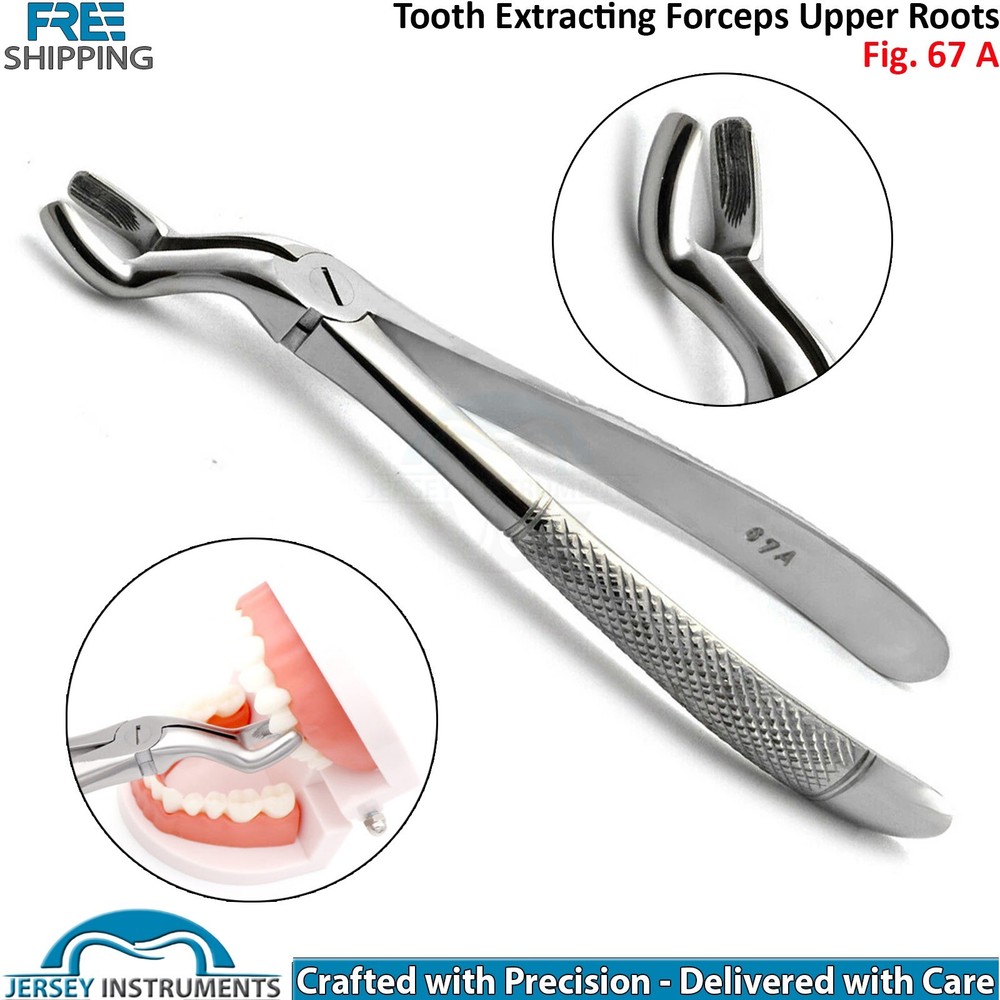 Professional Dental Extraction Teeth Forceps Fig 67A Upper Root Surgical Tool CE