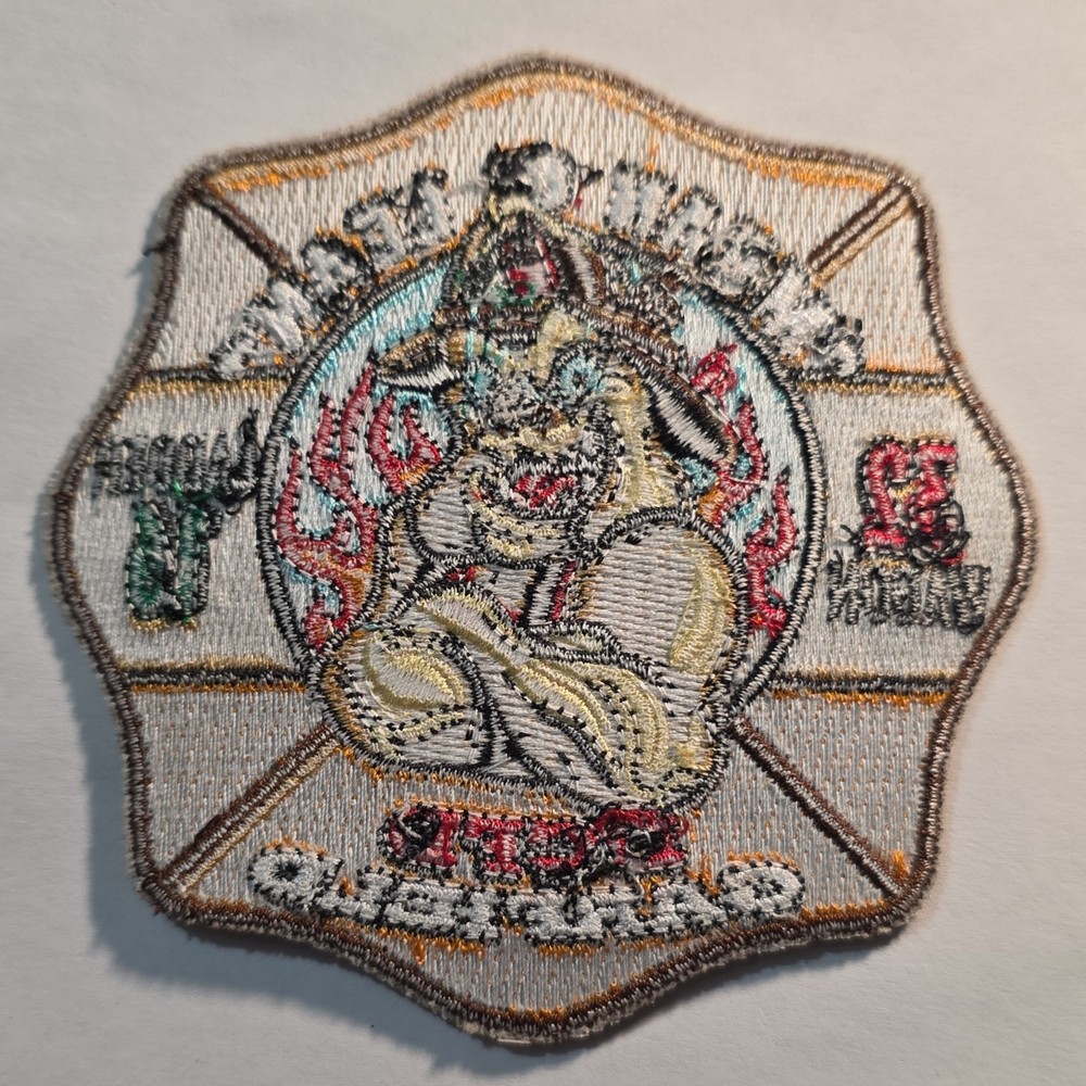 DCFD Garfield Mean & Lean Firefighter Patch Wagon 32 Ladder 16 Firefighting