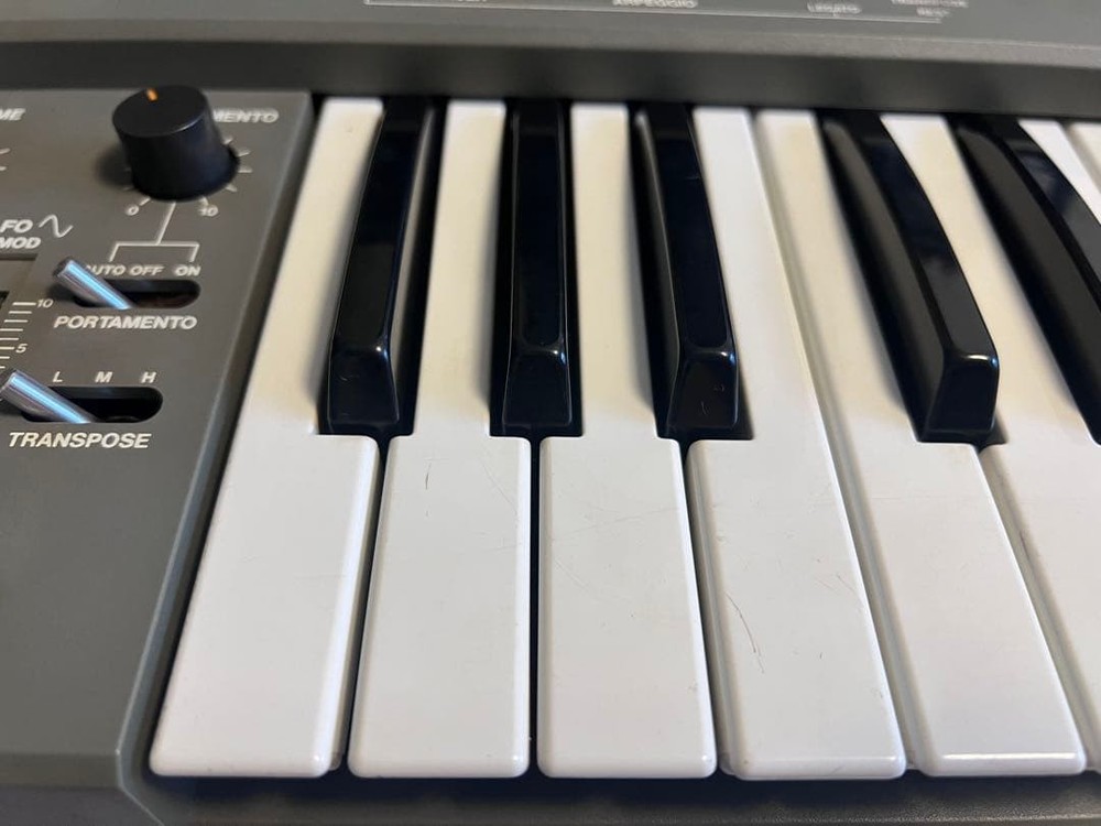 Roland SH-101 Synthesizer