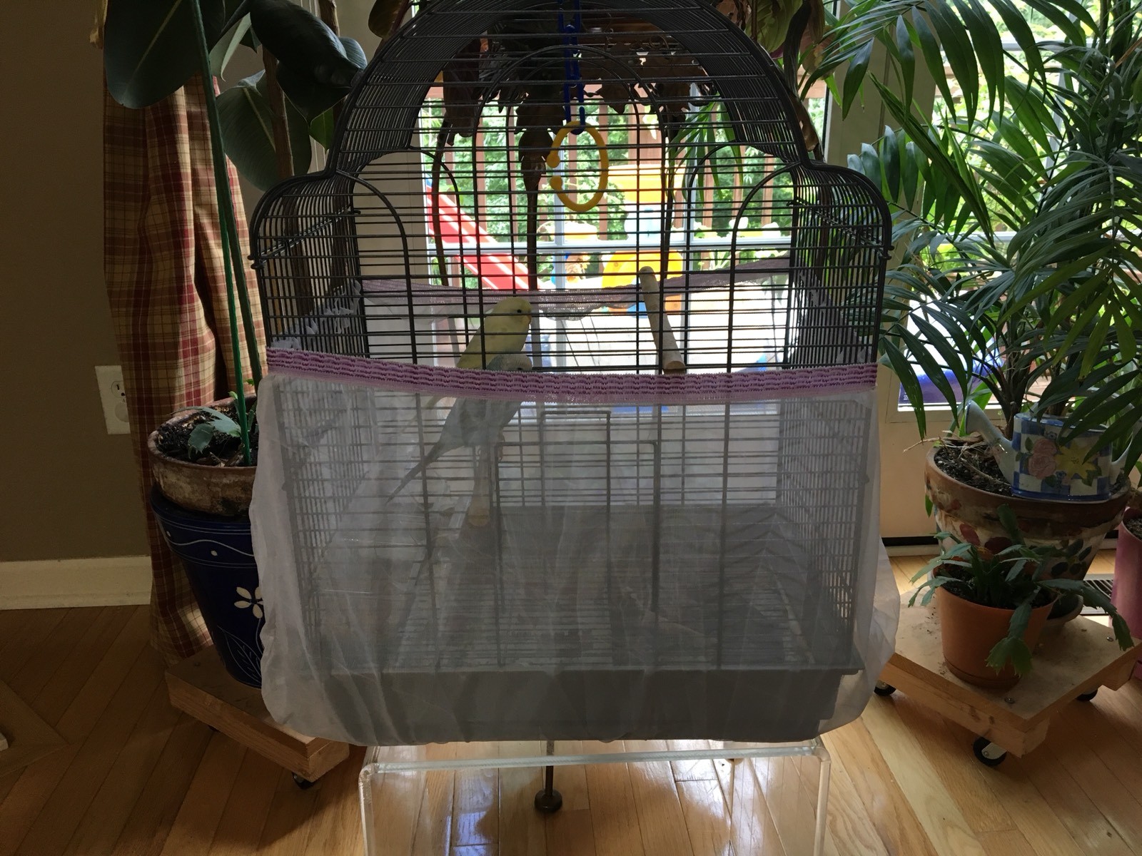 Bird SMALL Cage Cover Seed Catcher Guard Tulle Mesh Small S Cir 44”