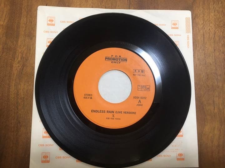 X japan Endless Rain analog record