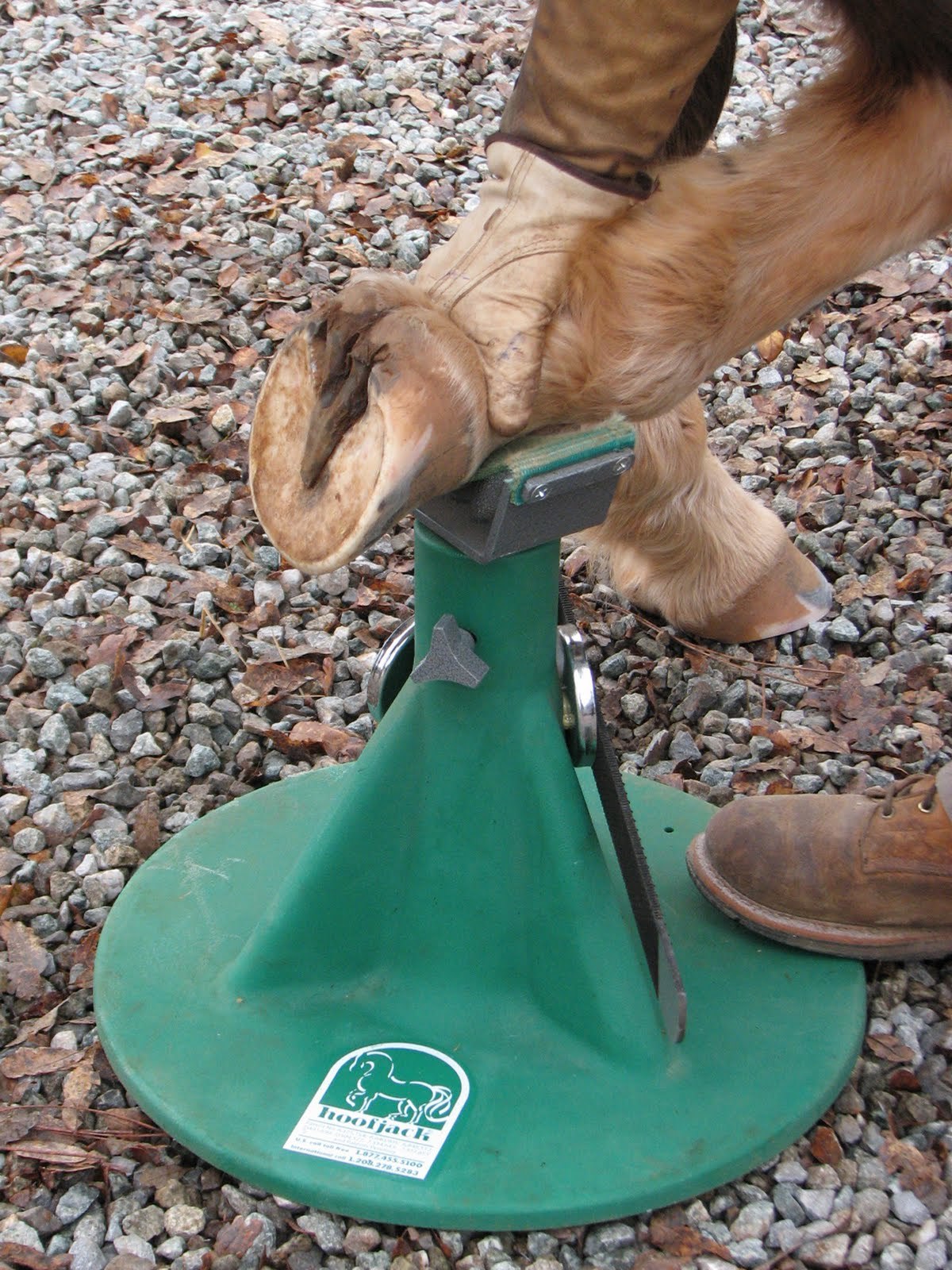 Hoofjack for Horse Owners & Farriers Author​ized Dealer 2023 model