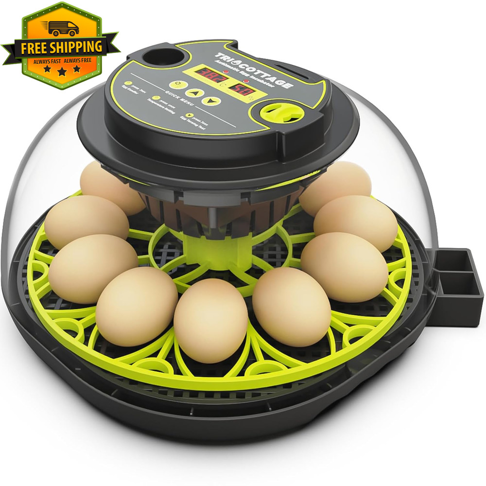 12 Egg Incubator Automatic Turning Humidity Control Chicken Quail M12H