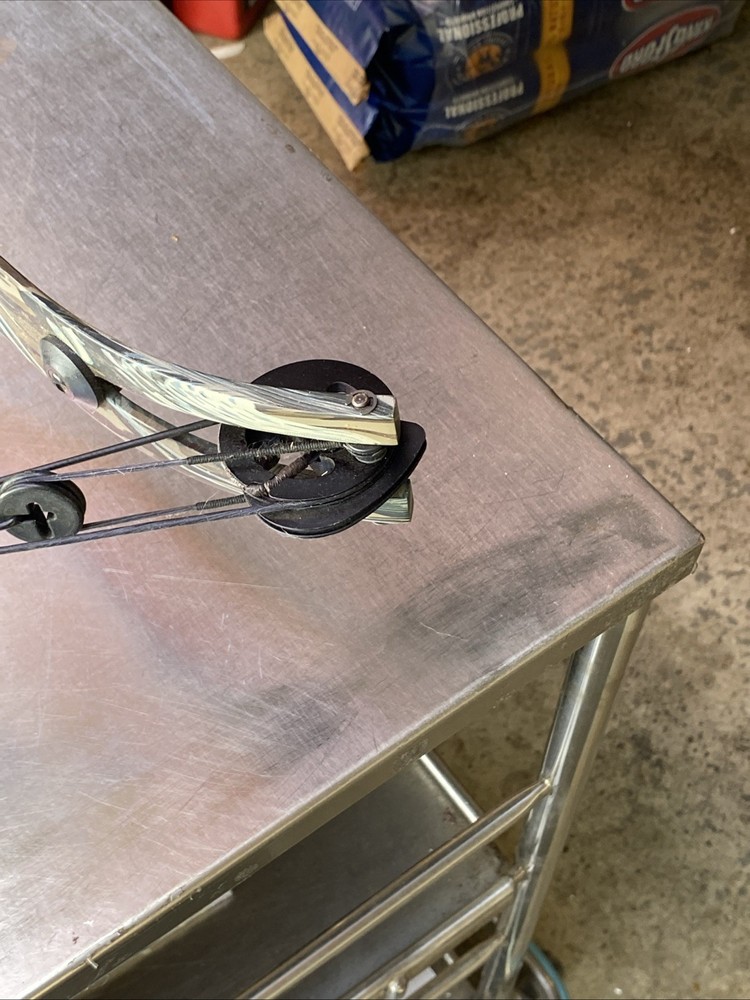 Golden Eagle Carbon Hawk System Compound Bow 38” RH