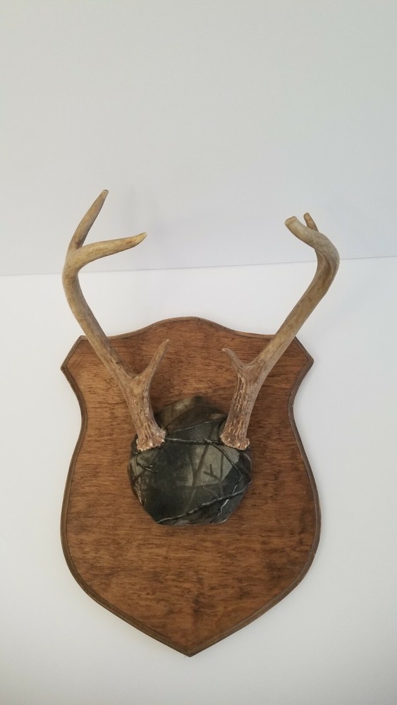 Deer Antler mounts on plaque