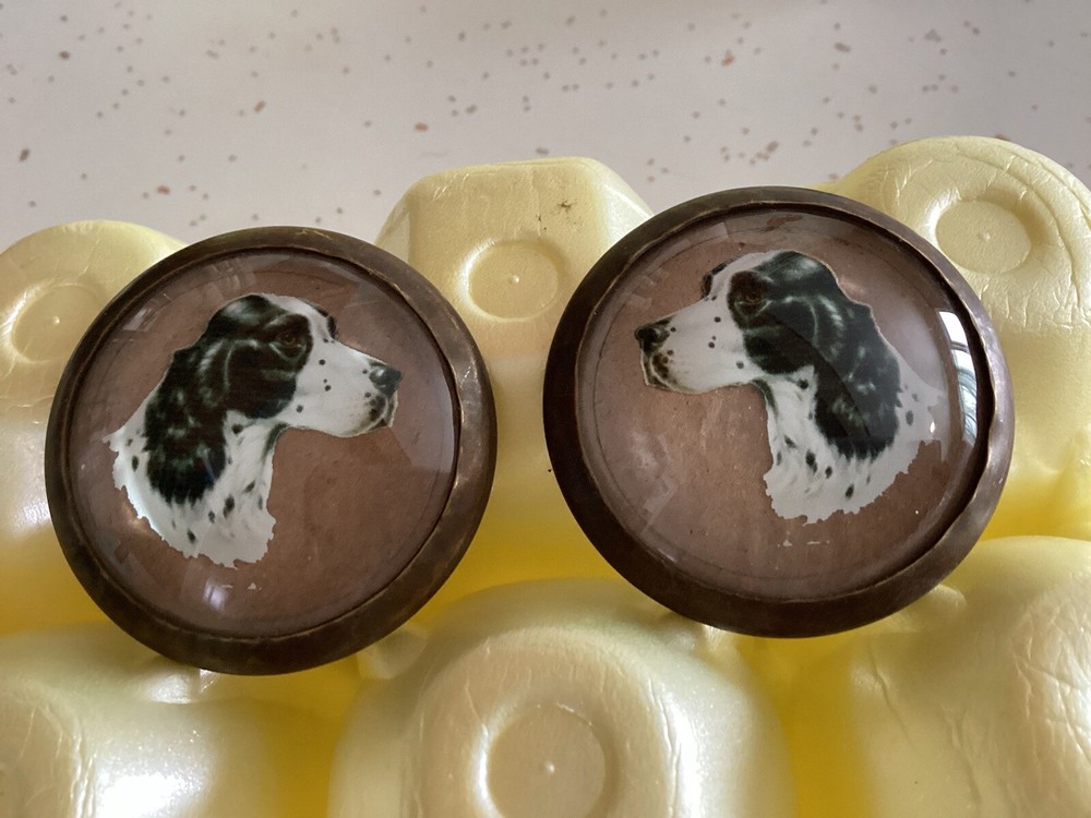 Horse Bridle Rosettes/buttons/Conchos