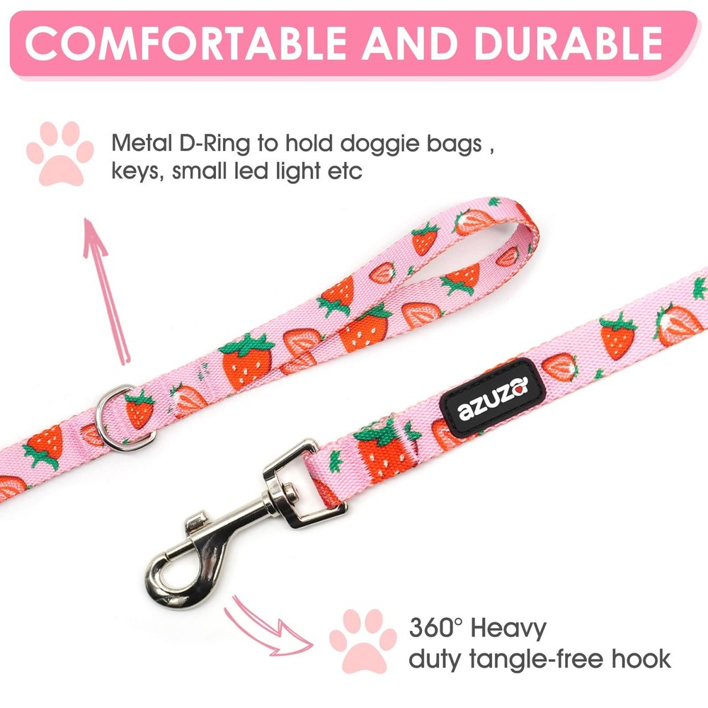 Fruit Design Nylon Dog Leashes 5FT with Easy to Use Hook 3 Pack Medium