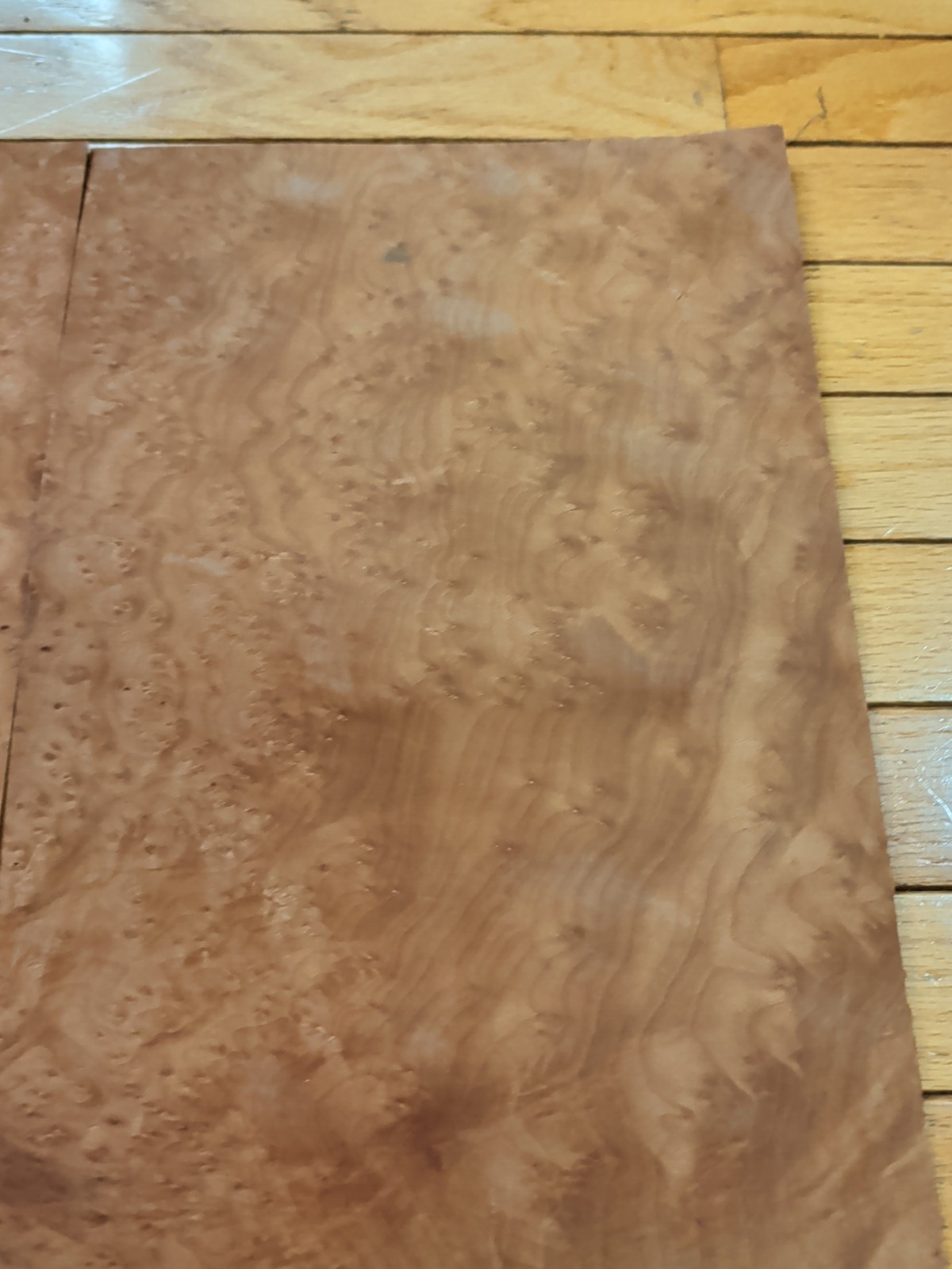 Madrone burl veneer 10 1/2" x 19 1/4" each, 2 pieces wood 1/42" raw