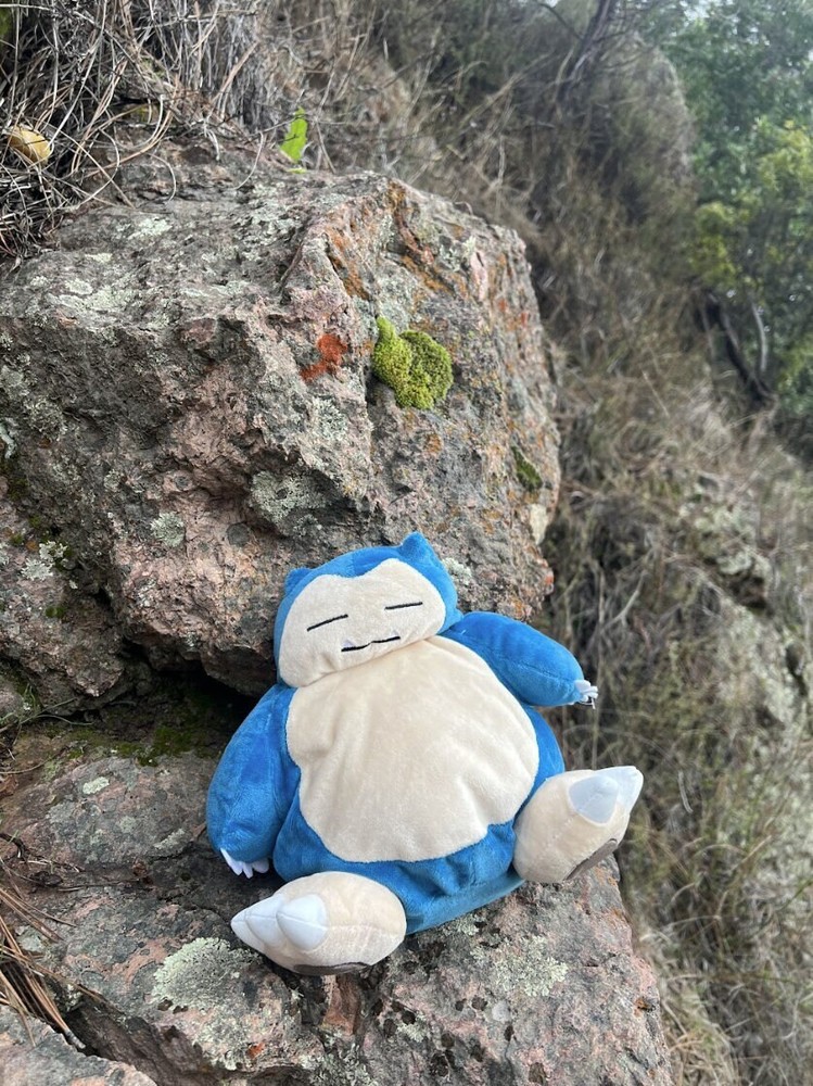 Snorlax Chalk Bag