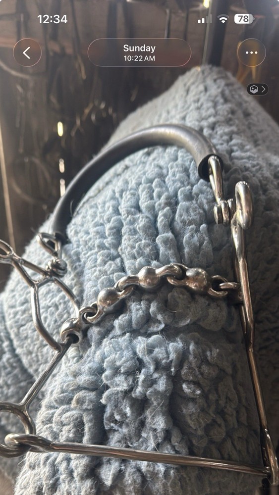 Jumping Hackamore Combo Bit Waterford 5.25” Used