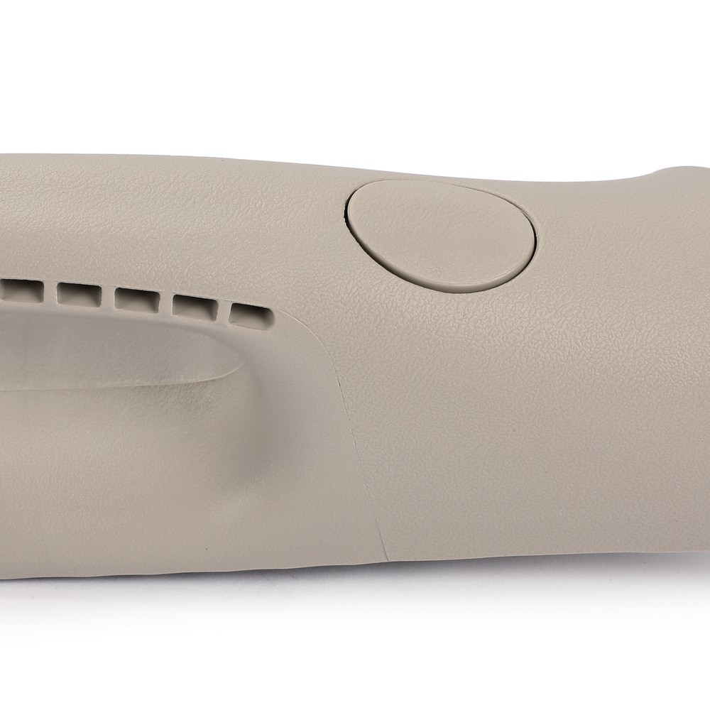 For 03-10 Dodge Ram RH Passenger Pull Grab Handle A Pillar Windshield Post Trim