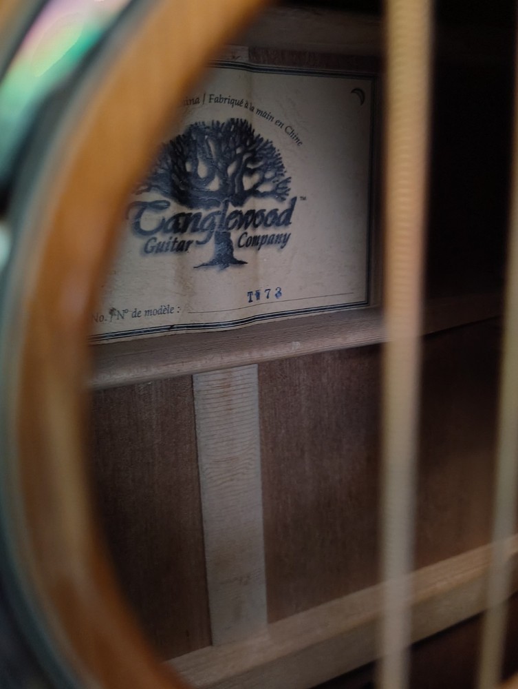 Tanglewood TW73 Classical Guitar 6 String Brown Standard Body with Case