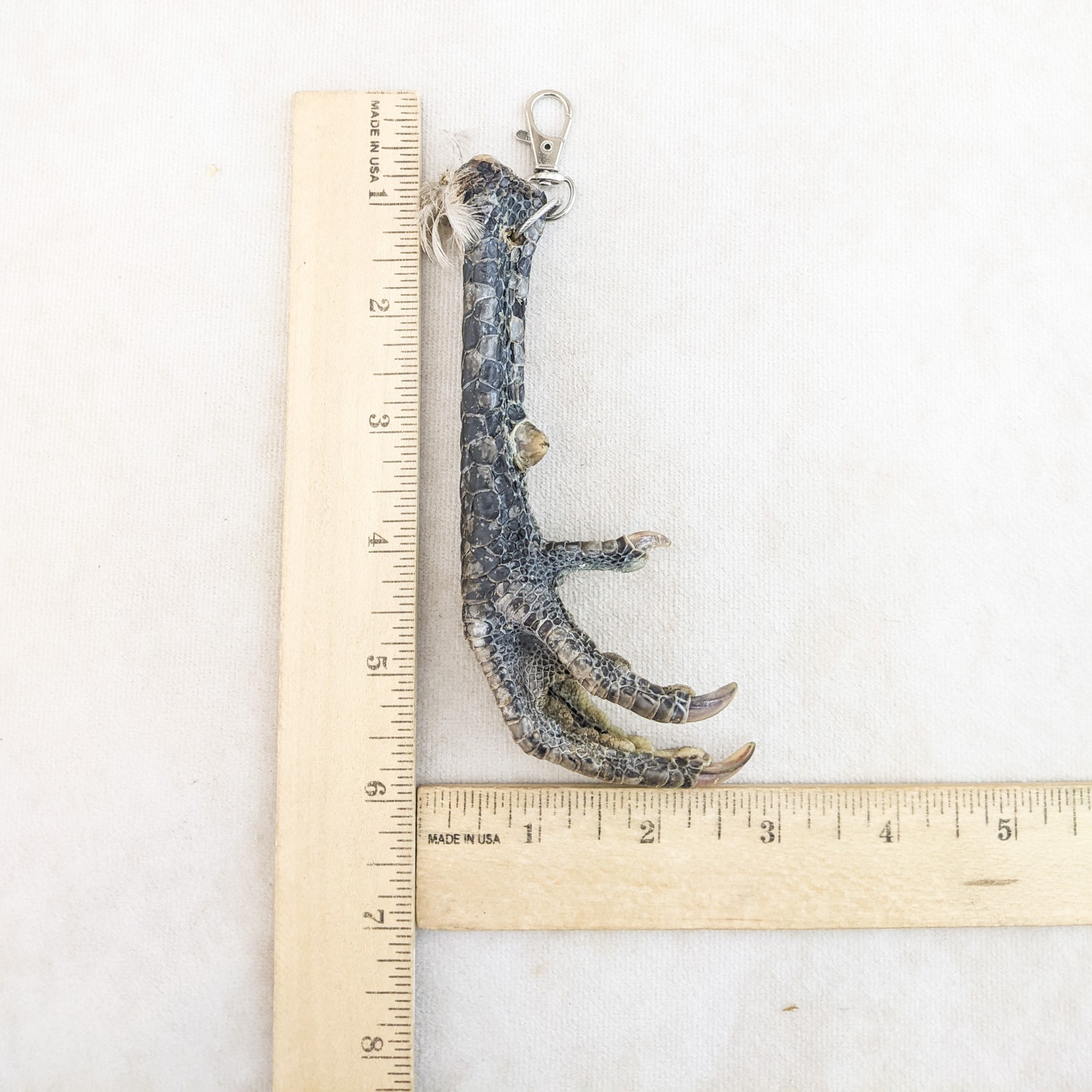 Chicken Foot KeyChain Hook talisman Taxidermy Oddity Curiosity voodoo pirate