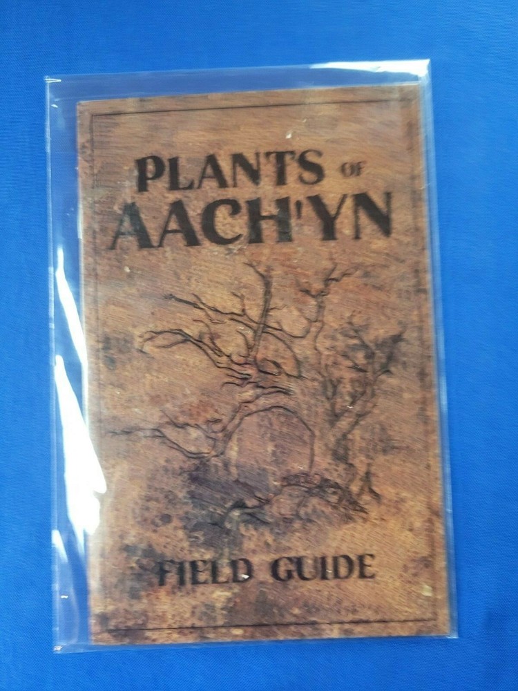 Aach'yn Kickstarter Complete Set with Module - Explore Dungeon LLC
