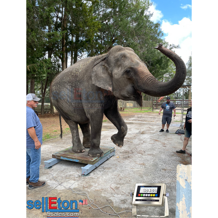 SellEton SL-919-HD Heavy Duty Weigh Beam, bar System up to 20,000 lb Capacity