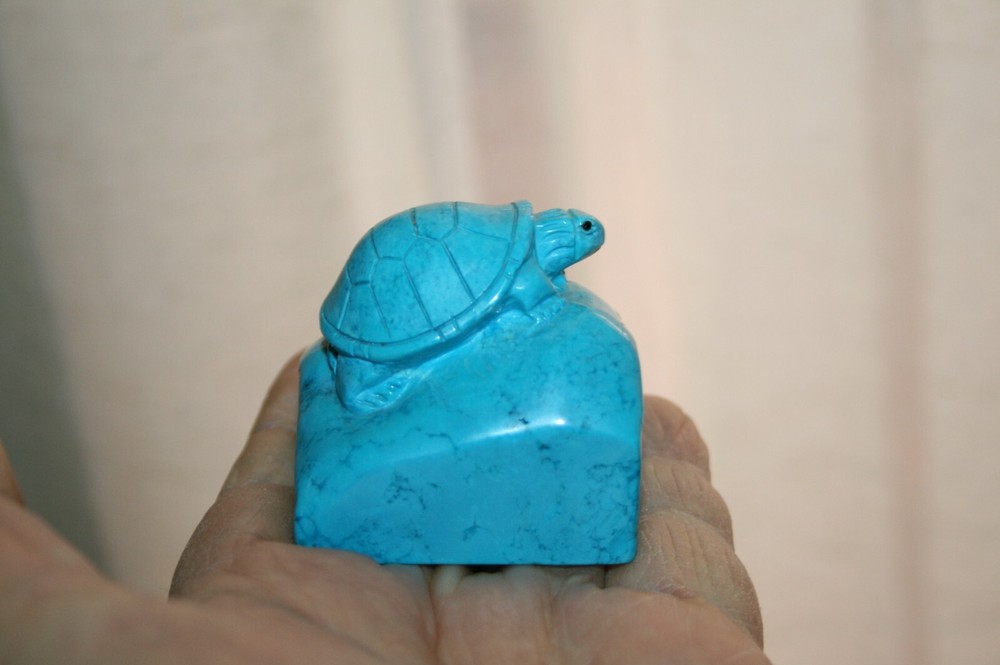 Turtle on a Rock