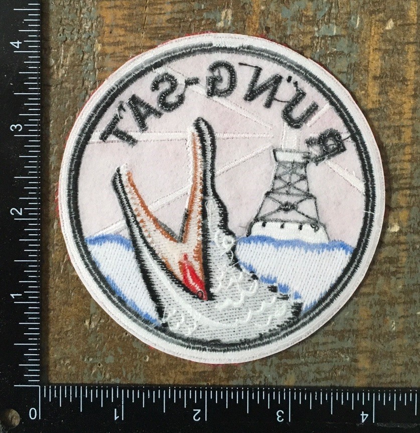 US Navy River Patrol Zone Rung Sat Zone Patch USN