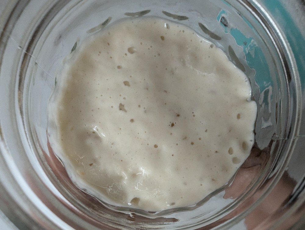 Sourdough Starter for Bread