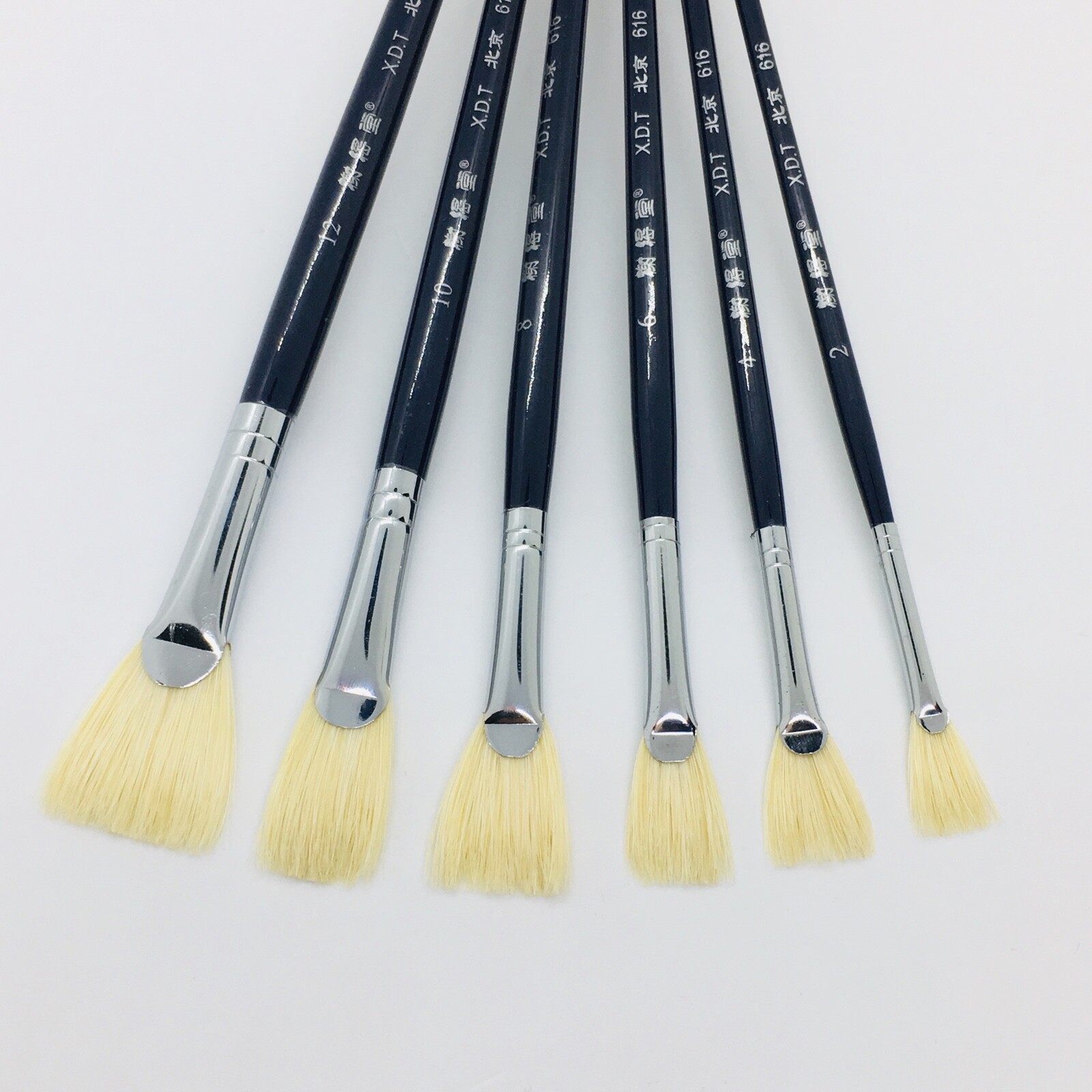 XDT#616-1 Fan Art Brush Set 6Pc #2#4#6#8#10#12 Hog Acrylic Oil Watercolor