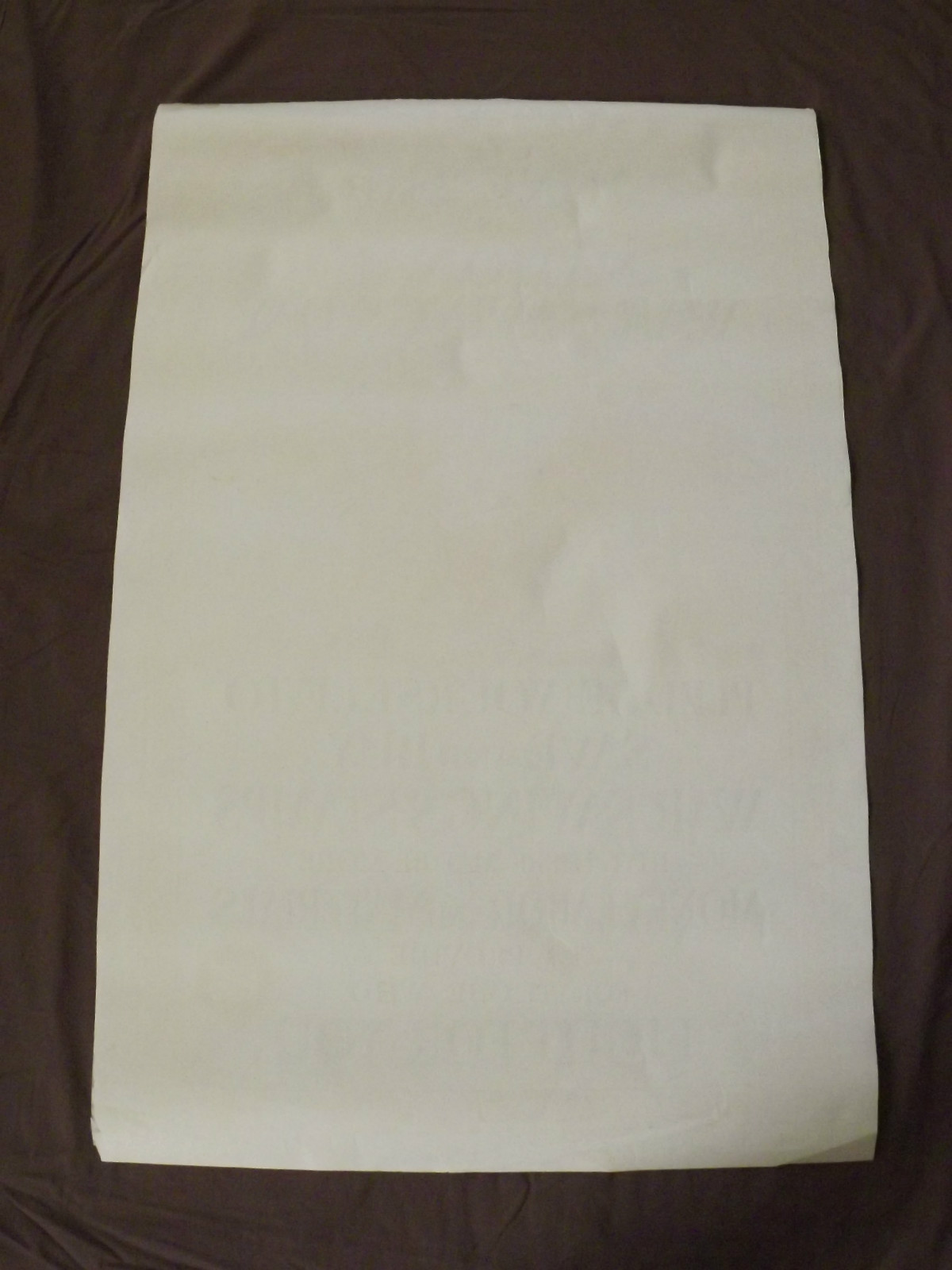 WORLD WAR 1 ORIGINAL NATIONAL WAR SAVINGS DAY BALD EAGLE LIBERTY TORCH POSTER