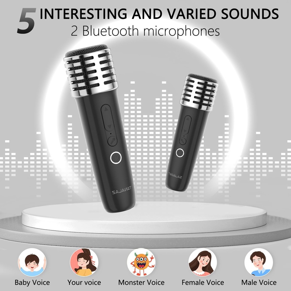 Karaoke Machine with 2 Wireless Microphones and Base, Mini Bluetooth Singing ...