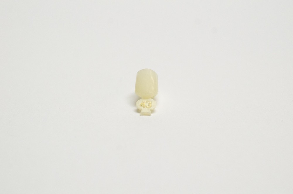DENTAL POLYCARBONATE TEMPORARY CROWNS #43 FIRST (1ST) BICUSPIDS SMALL 5/PACK