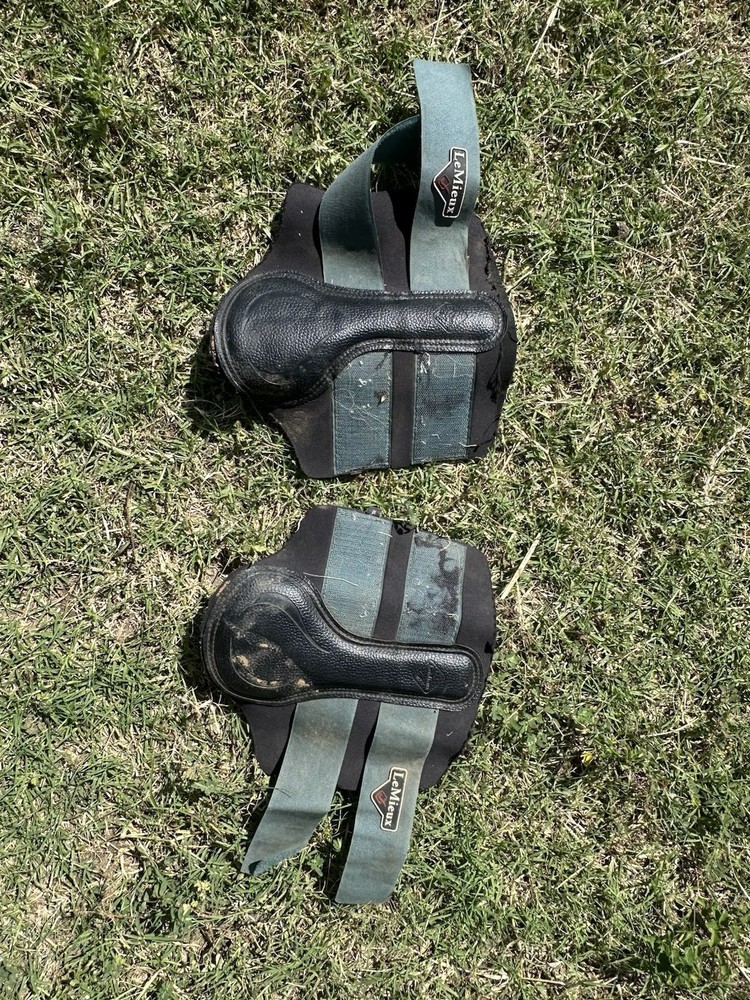 Lemuiex horse boots