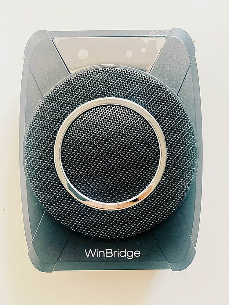 20W Bluetooth Voice Amplifier w/ Wireless Mic – Portable Waterproof Speaker