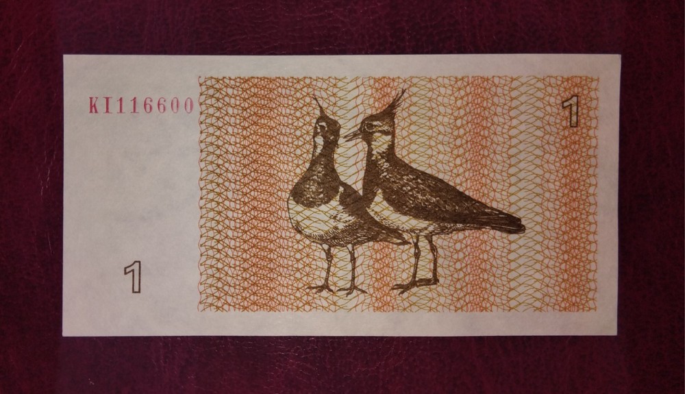 Lithuania 1 talonas banknote,1992year,unc
