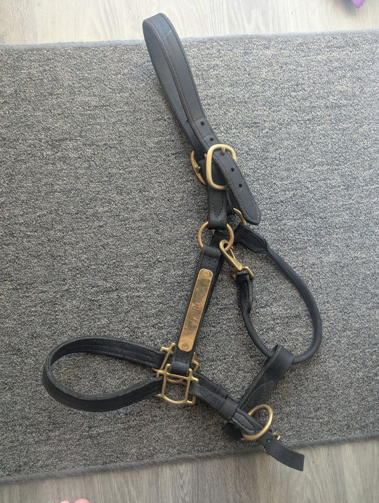 Used Leather Horse Halter