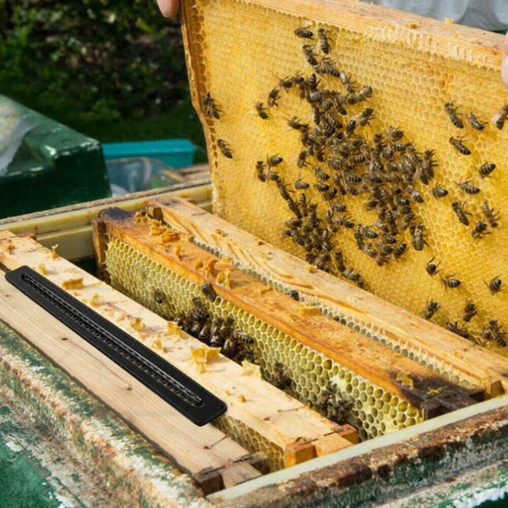 20X Plastic Small Bee Hive Beetle Blaster BeeHive Beetle Trap Beekeeping LM2