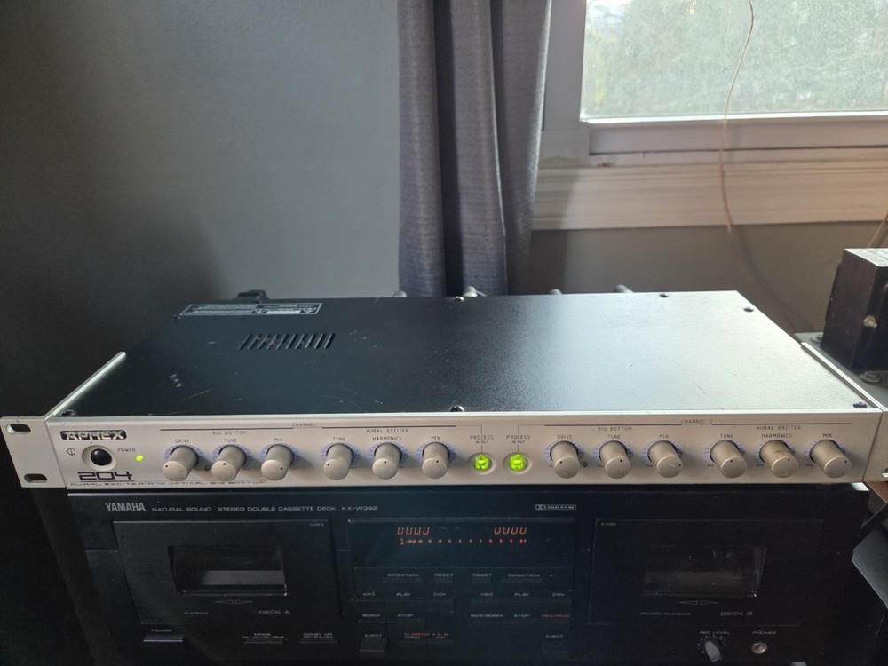 Aphex 204 Aural Exciter With Big Bottom