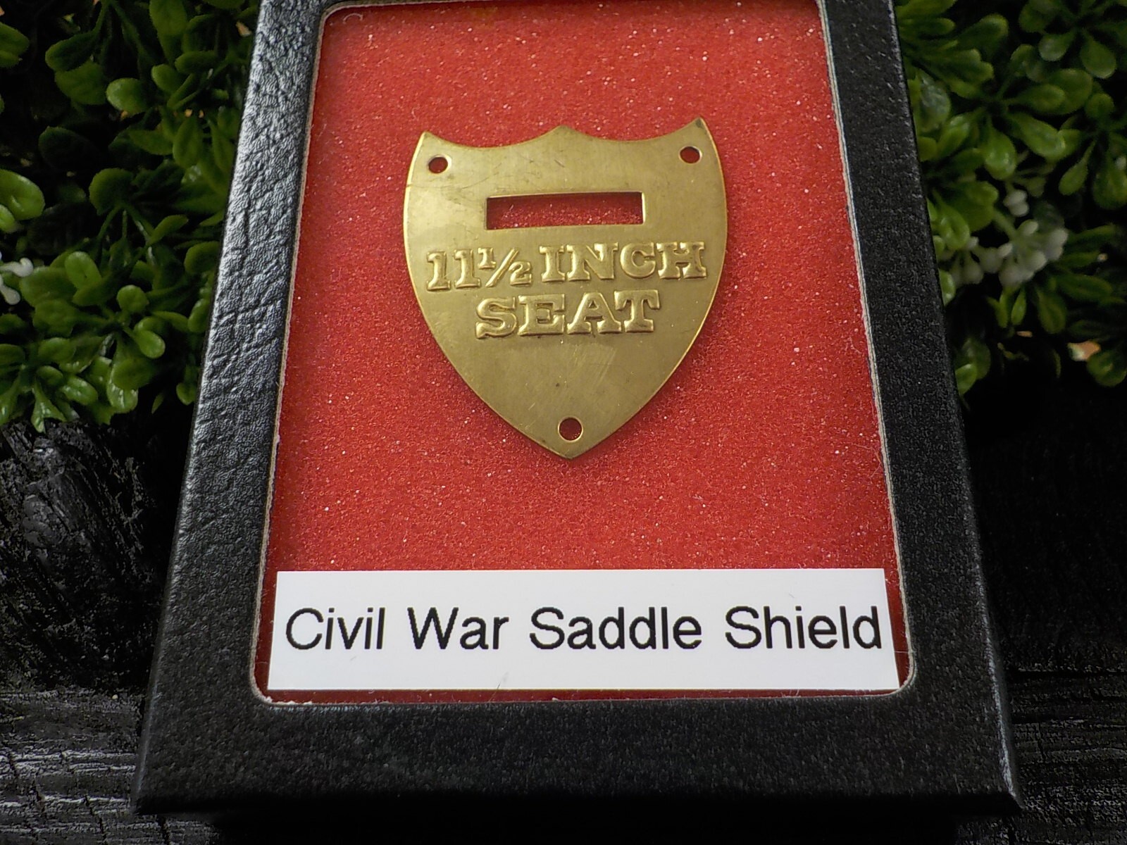 11 1/2 Inch Calvary Saddle Shield with Free Display Case for Display and Protect