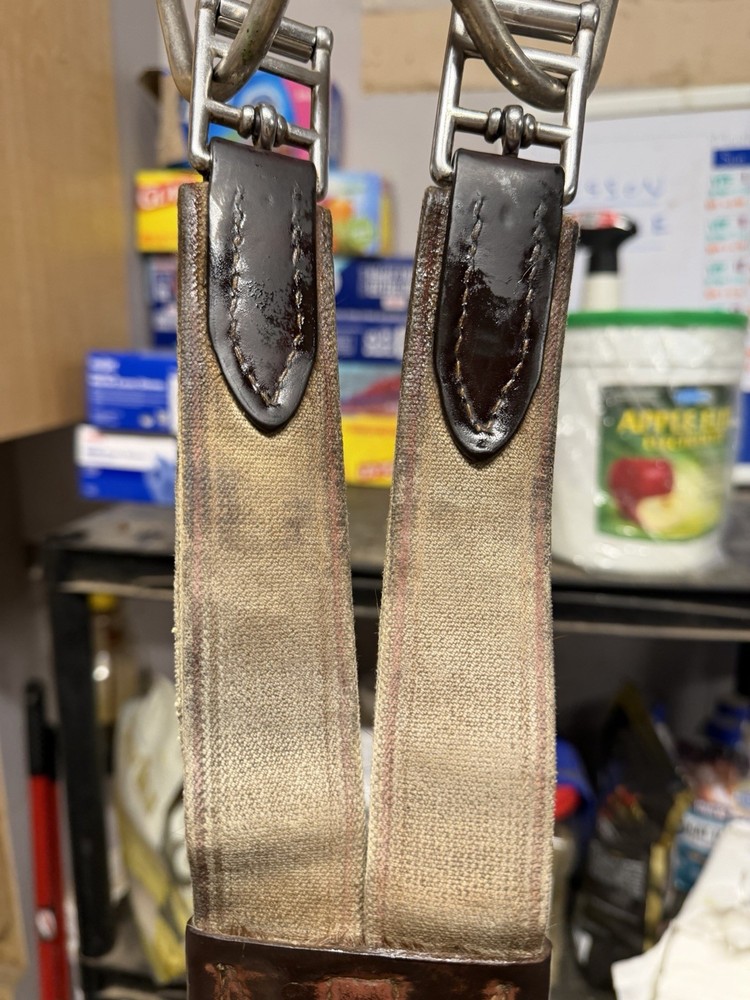 Edgewood Hunter Jumper Girth Size 52