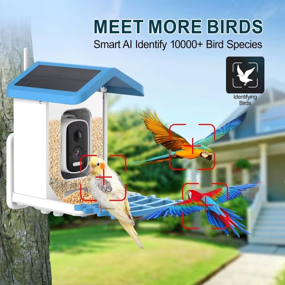 Smart Bird Feeder with HD Camera, Solar Powered, AI Bird Identification, Live St