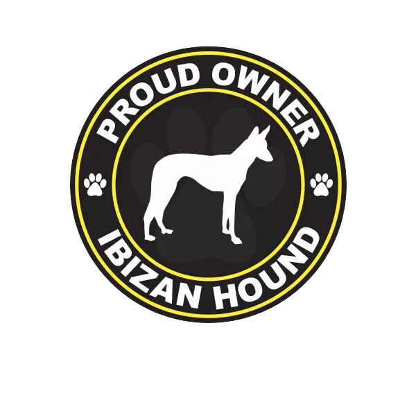 Proud Owner Ibizan Hound Sticker Decal