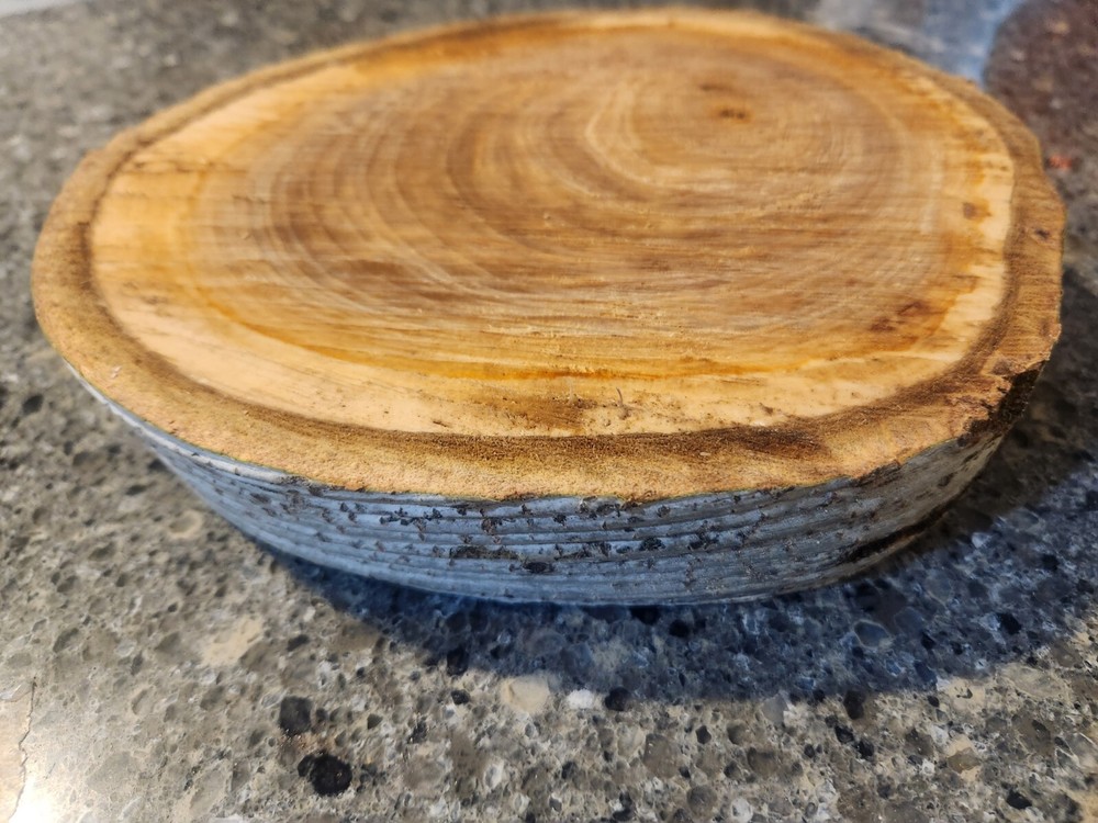 White Birch Log - Live Edge
