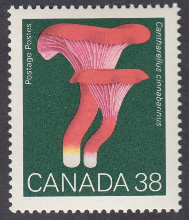 Canada - #1247 Mushrooms - MNH