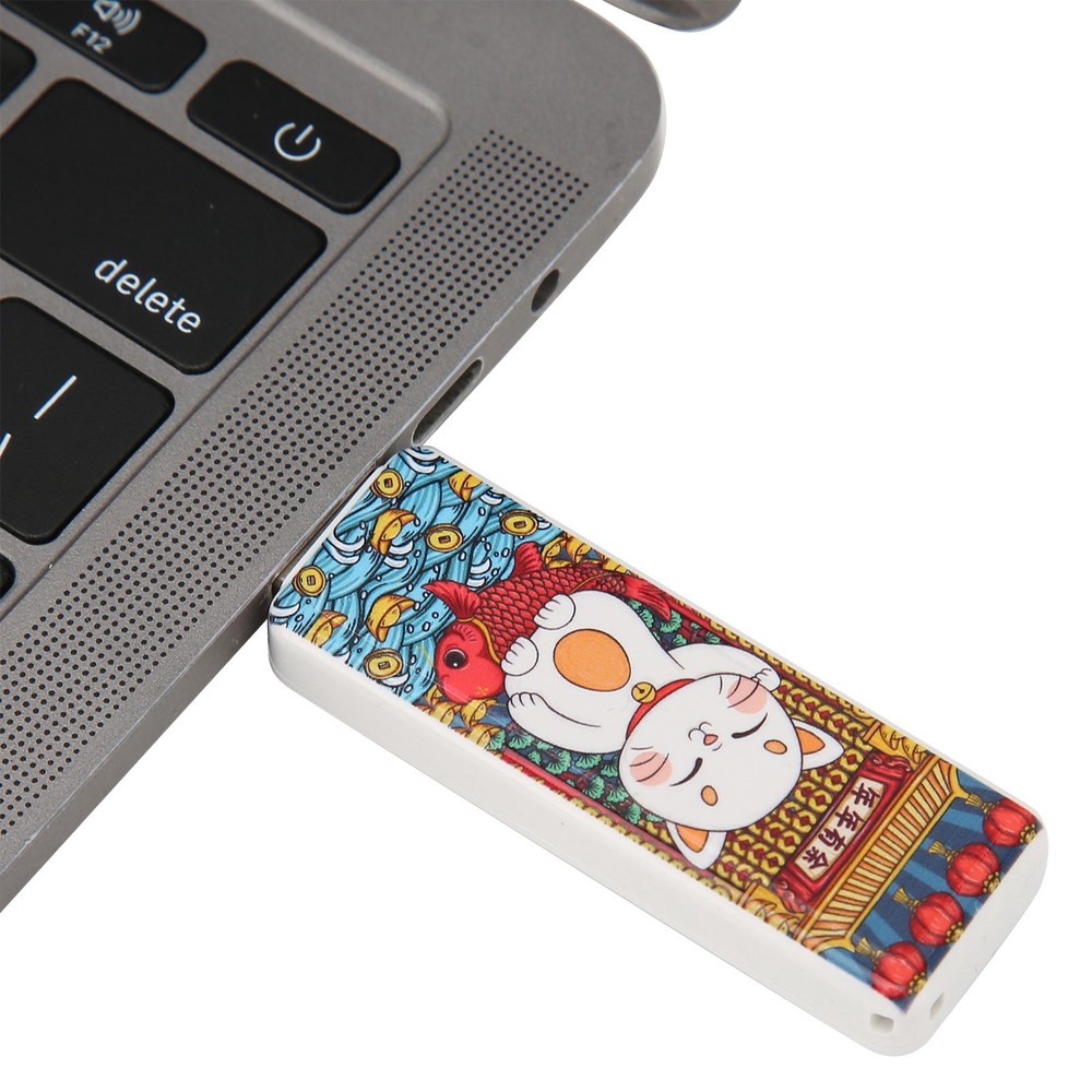 Cute Cat Pattern USB Flash Drive Portable Memory Stick For OS X9.x Use↑