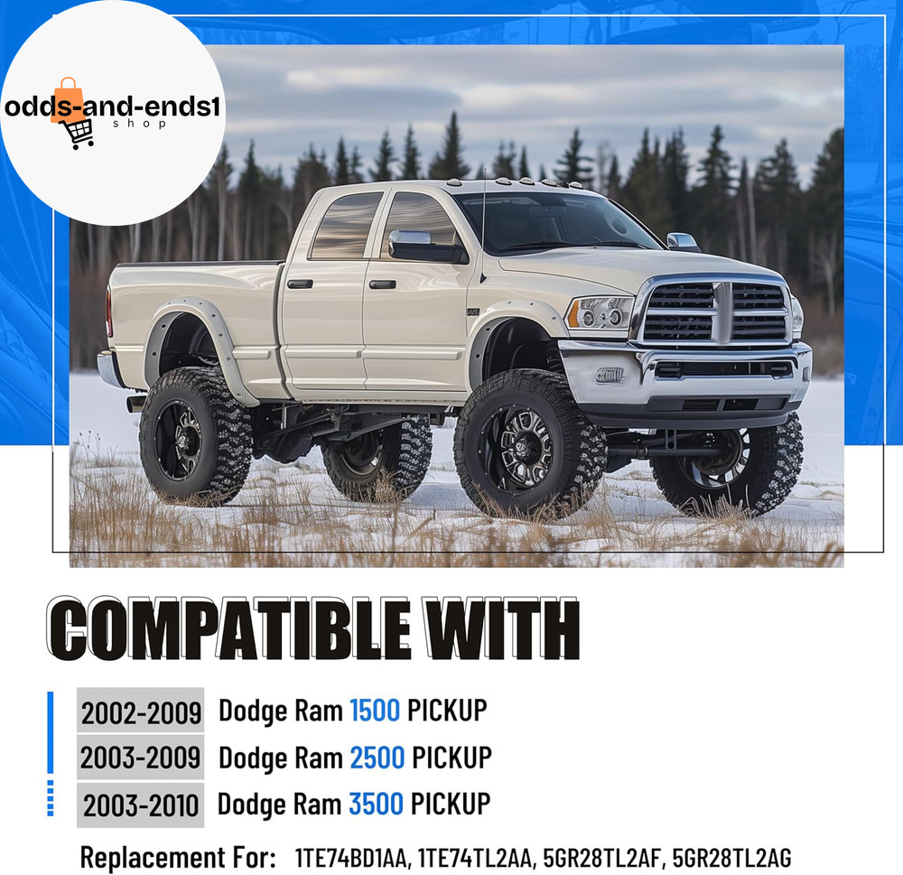 Right Side a Pillar Grab Handle Compatible with 2002-2010 Dodge Ram Pickup Repla