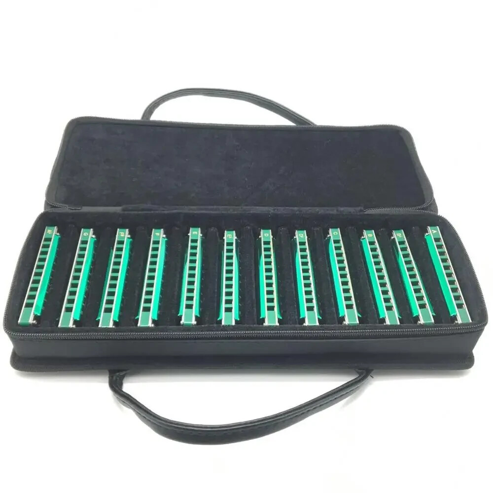 EASTTOP PR020-12 10hole Harmonica Set Professional Blue Diatonic Harmonica Lot