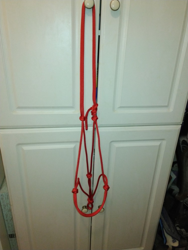 DRAFT SIZE 1/4" SOFT ROPE 2-KNOT TRAINING HALTER FITS PARELLI METHOD