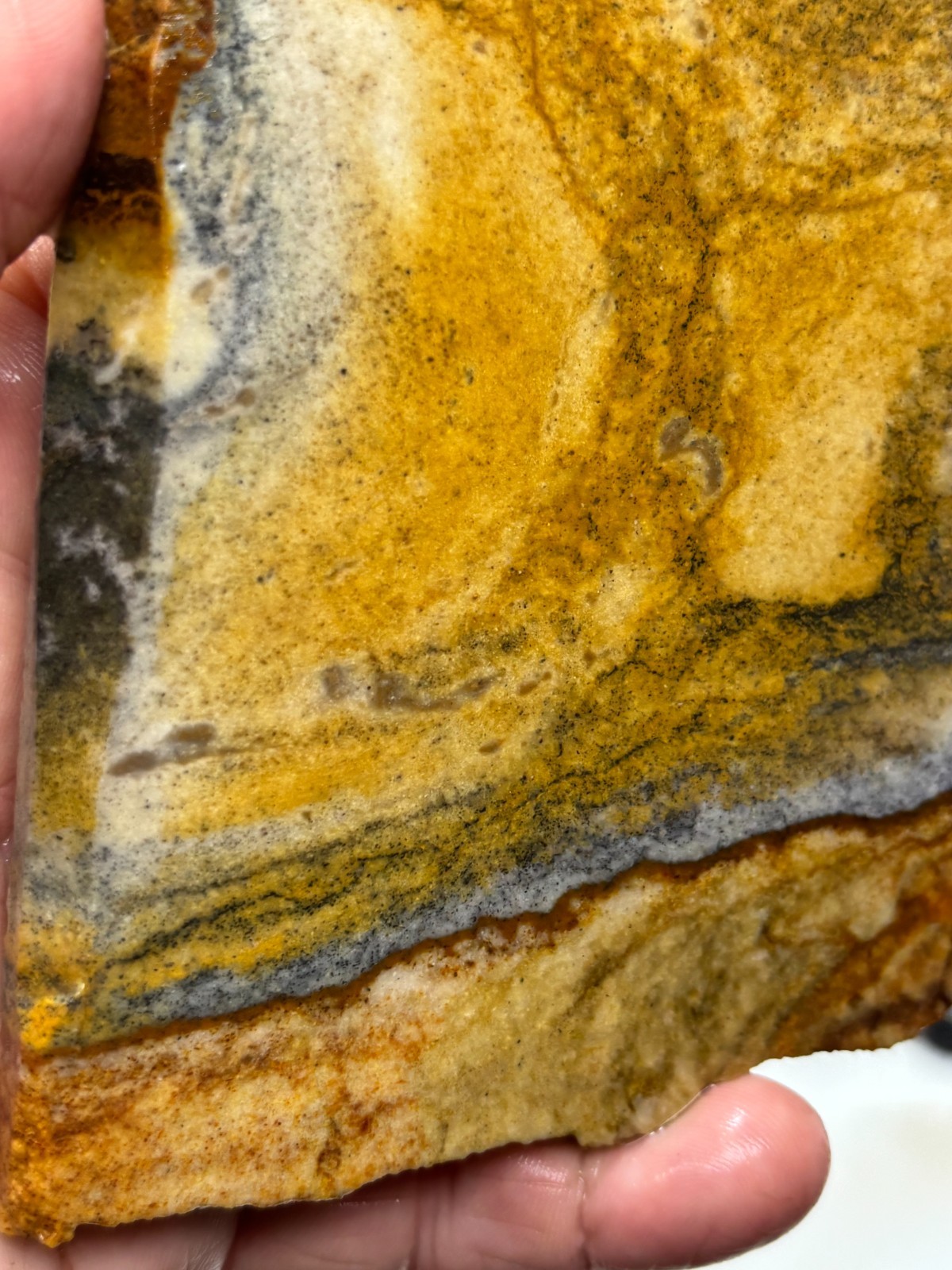 Disaster Peak Picture Jasper Slab Cabbing Lapidary Collecting Combo Ship Avail